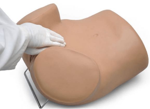https://mail.jayakelana.co.id/uploads/product/sima-gyn-aid-gynecologic-simulator-133601f6cfe360e_cover.png