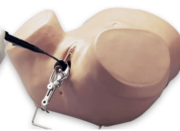 https://mail.jayakelana.co.id/uploads/product/simulator-histeroskopi-s607--263359ce9a52b9f_cover.png