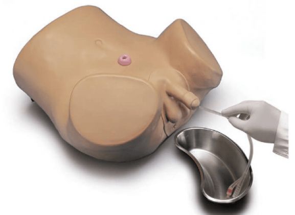 https://mail.jayakelana.co.id/uploads/product/simulator-kateterisasi-pasien-lanjutan-640767d026ba3c8_cover.png