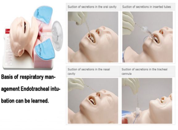 https://mail.jayakelana.co.id/uploads/product/simulator-penghisap-sakamoto-m175--55471a09ea94b23_cover.png