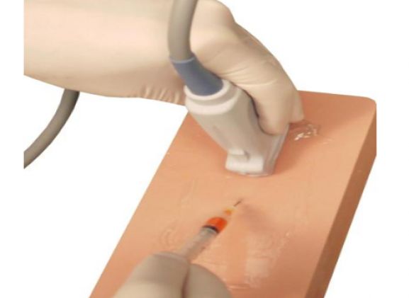 https://mail.jayakelana.co.id/uploads/product/venipuncture-pad-dengan-saraf-643524dc40e3ff1_cover.png